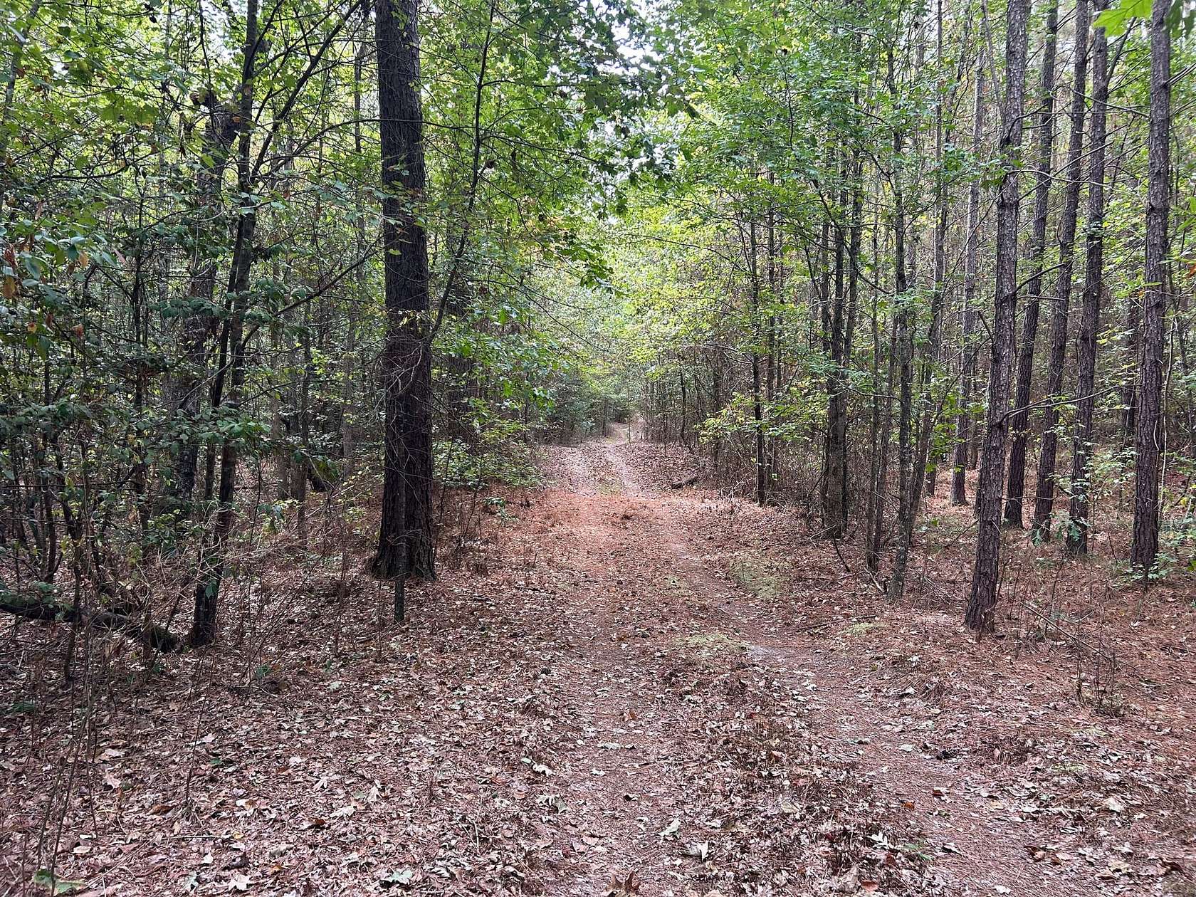 119 Acres of Recreational Land for Sale in Murfreesboro, Arkansas