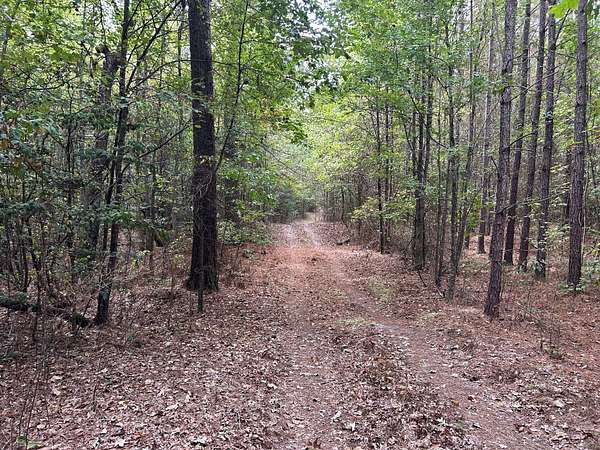119 Acres of Recreational Land for Sale in Murfreesboro, Arkansas