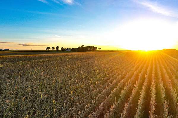 160 Acres of Land for Auction in Allison, Iowa