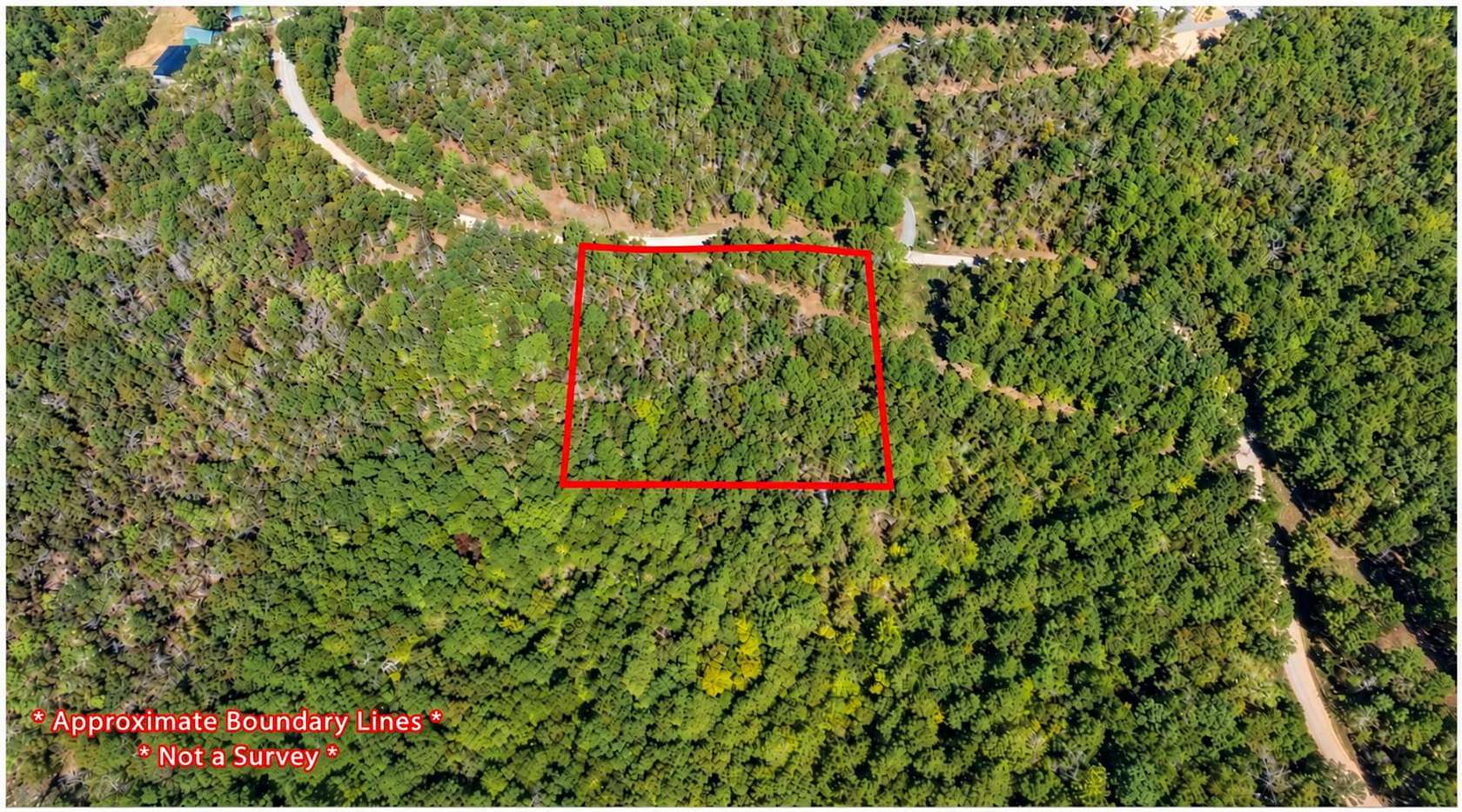 3 Acres of Recreational Land for Sale in Shirley, Arkansas