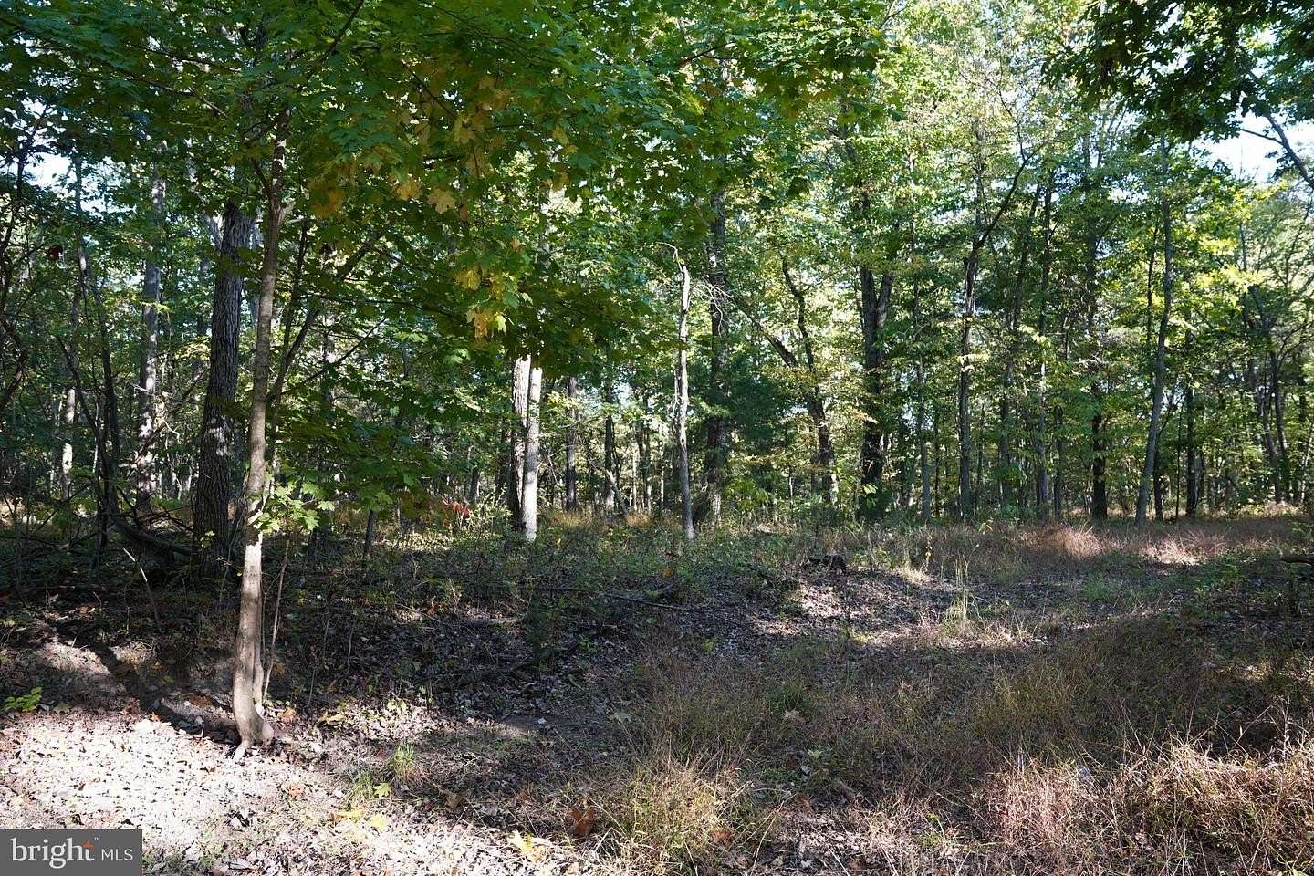 6 Acres of Residential Land for Sale in Martinsburg, West Virginia