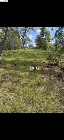 0.28 Acres of Residential Land for Sale in Groveland, California