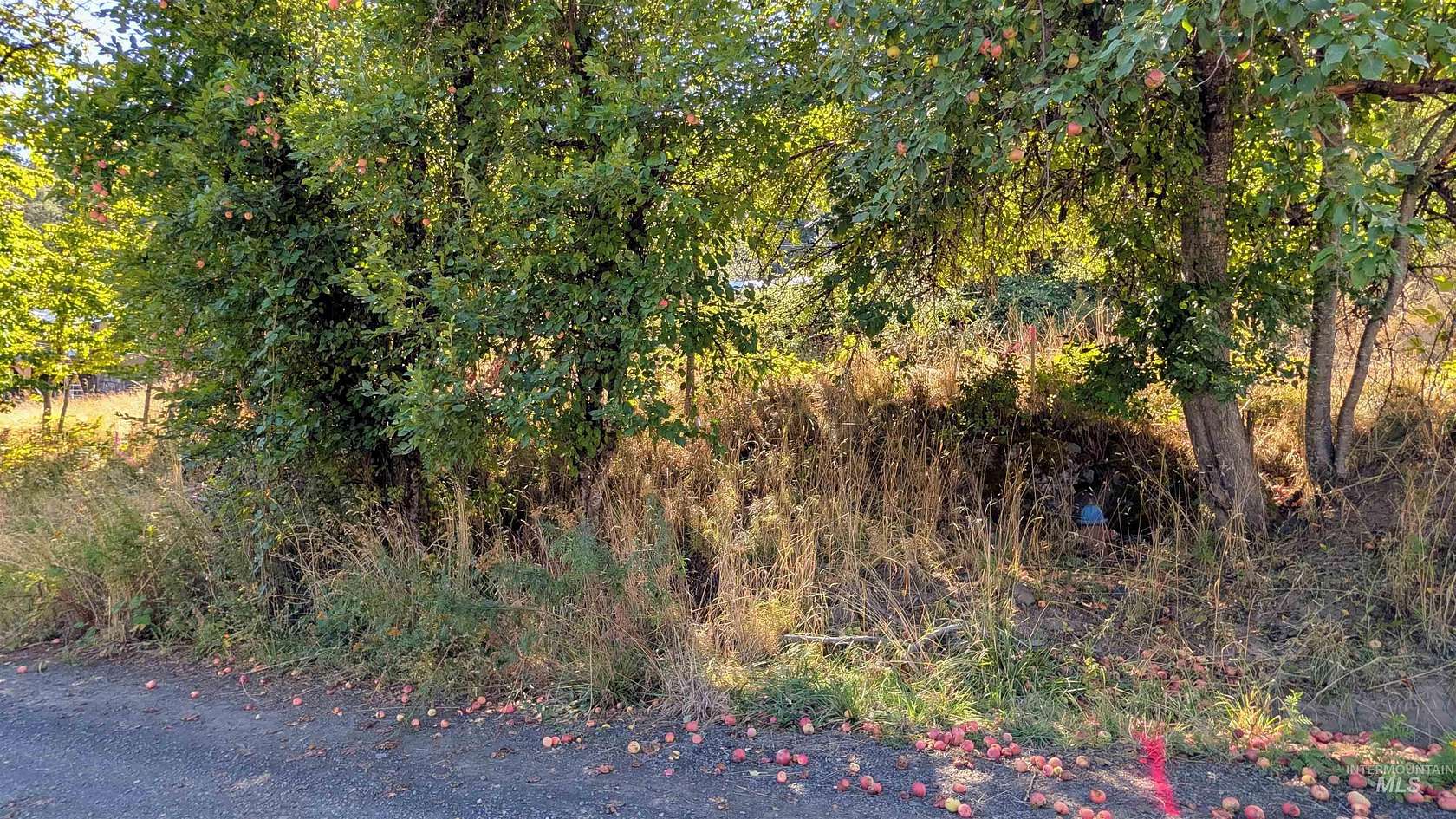 0.12 Acres of Land for Sale in Peck, Idaho