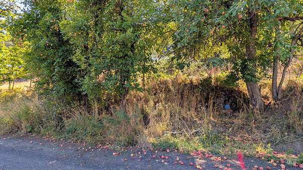 0.12 Acres of Land for Sale in Peck, Idaho