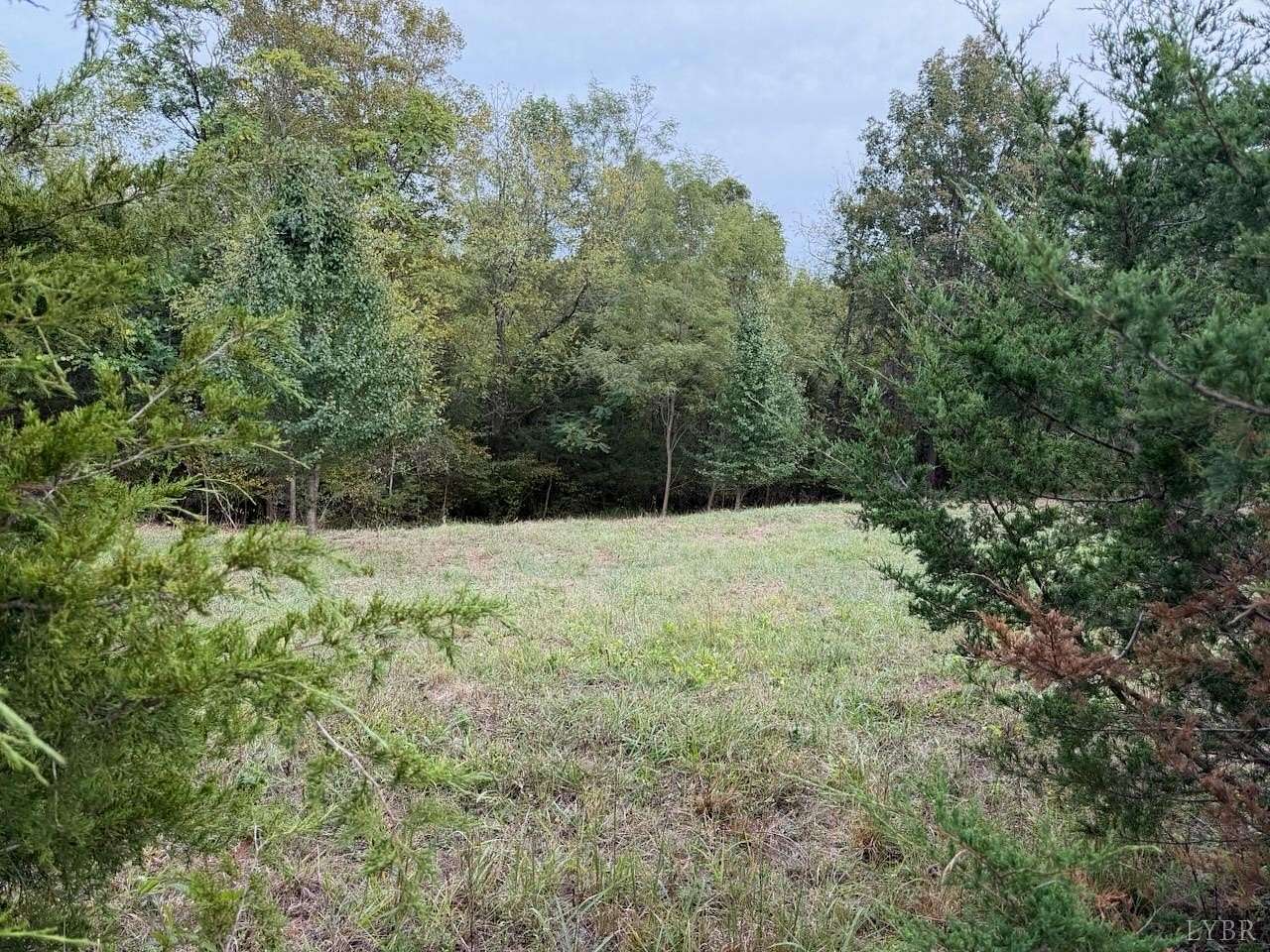 2 Acres of Land for Sale in Moneta, Virginia