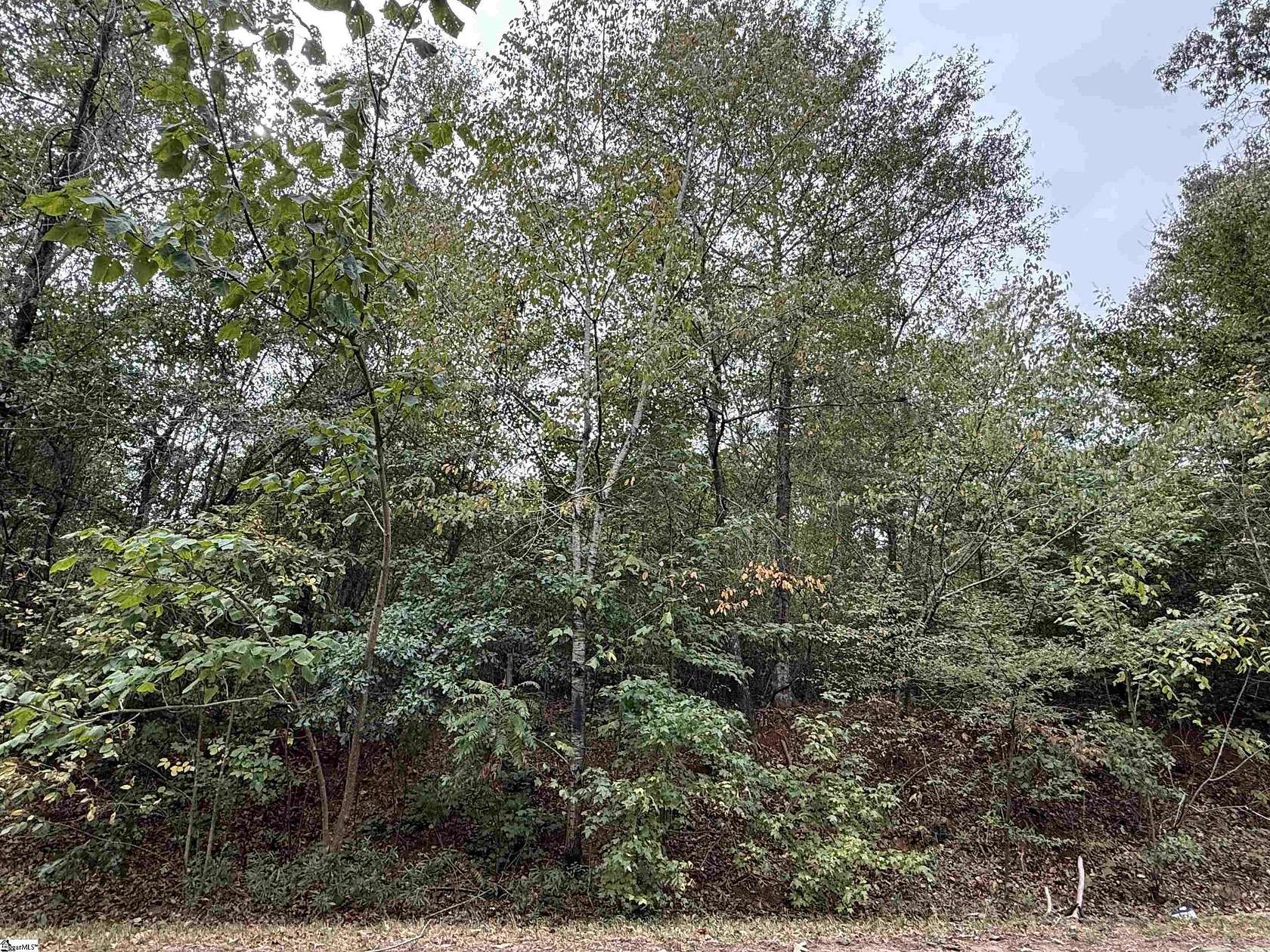 1.34 Acres of Residential Land for Sale in Pelzer, South Carolina
