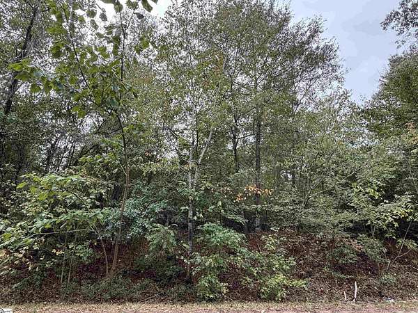 1.34 Acres of Residential Land for Sale in Pelzer, South Carolina