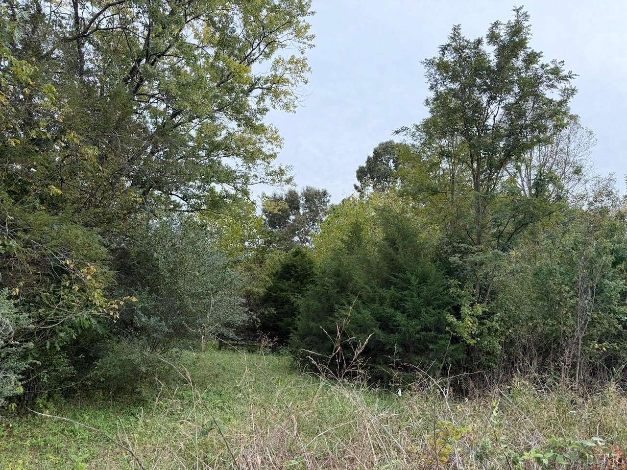 2 Acres of Land for Sale in Moneta, Virginia