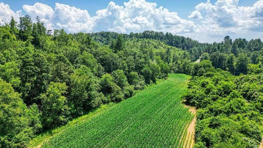 22.1 Acres of Land for Sale in Mineral Bluff, Georgia