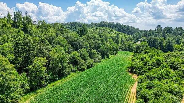 22.1 Acres of Land for Sale in Mineral Bluff, Georgia