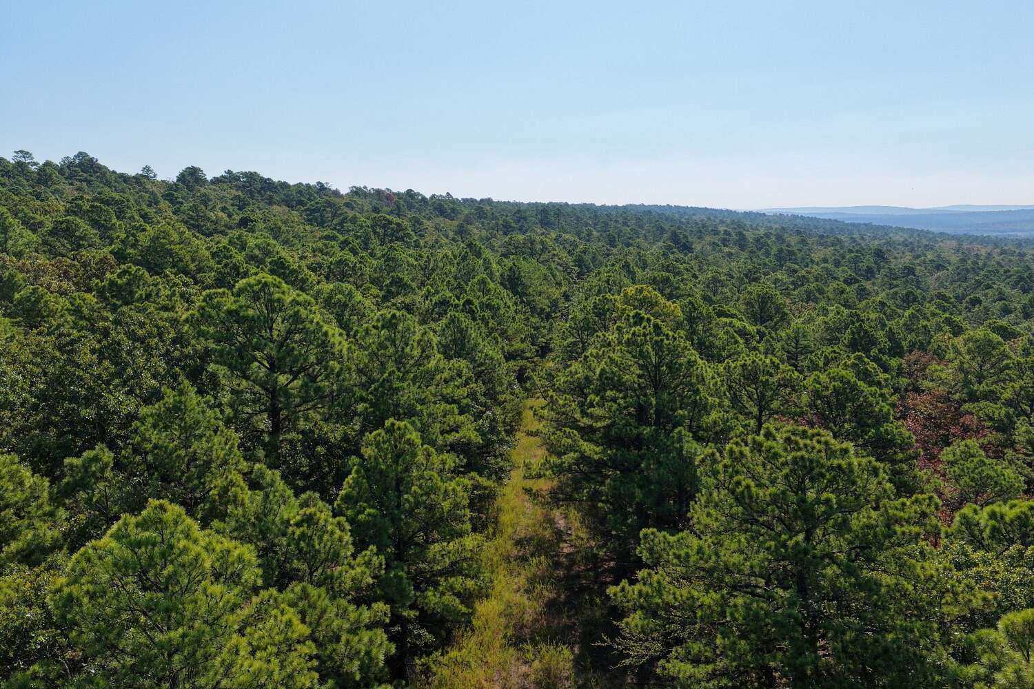 60 Acres of Recreational Land for Sale in Hartshorne, Oklahoma