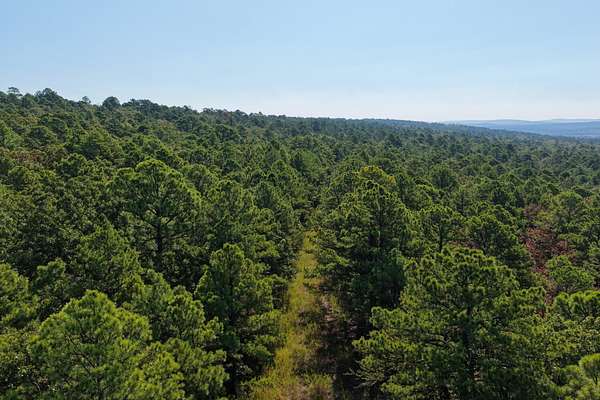 60 Acres of Recreational Land for Sale in Hartshorne, Oklahoma