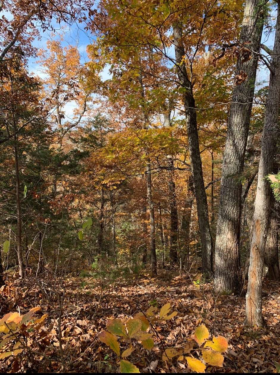 3.87 Acres of Residential Land for Sale in Bybee, Tennessee