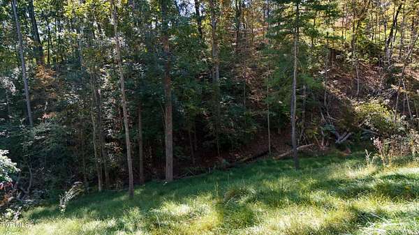 0.47 Acres of Residential Land for Sale in Bristol, Tennessee