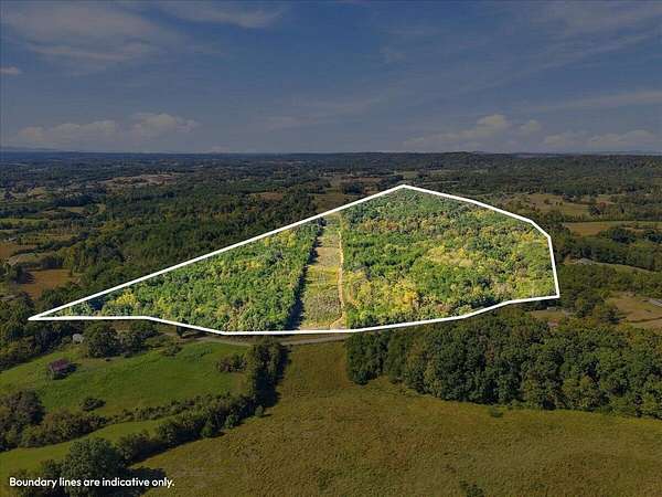 75.5 Acres of Land for Sale in Bulls Gap, Tennessee