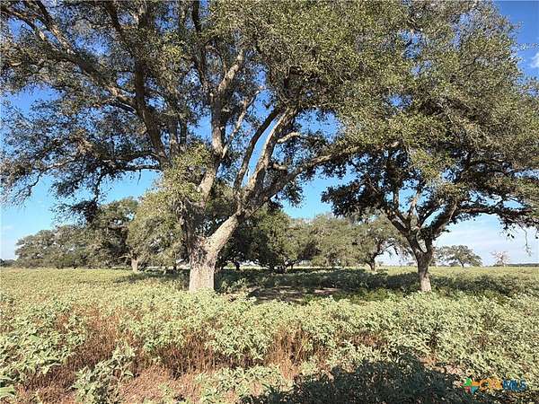 68.2 Acres of Land for Sale in Yoakum, Texas
