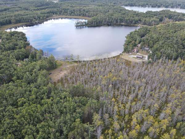 9.84 Acres of Recreational Land for Sale in Hillman, Michigan