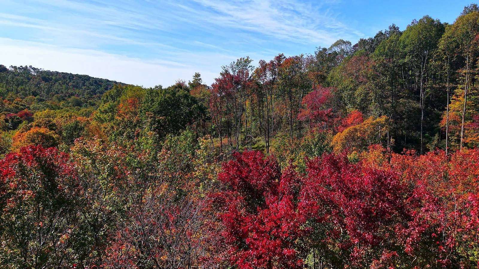 153 Acres of Recreational Land for Sale in Waverly, Ohio