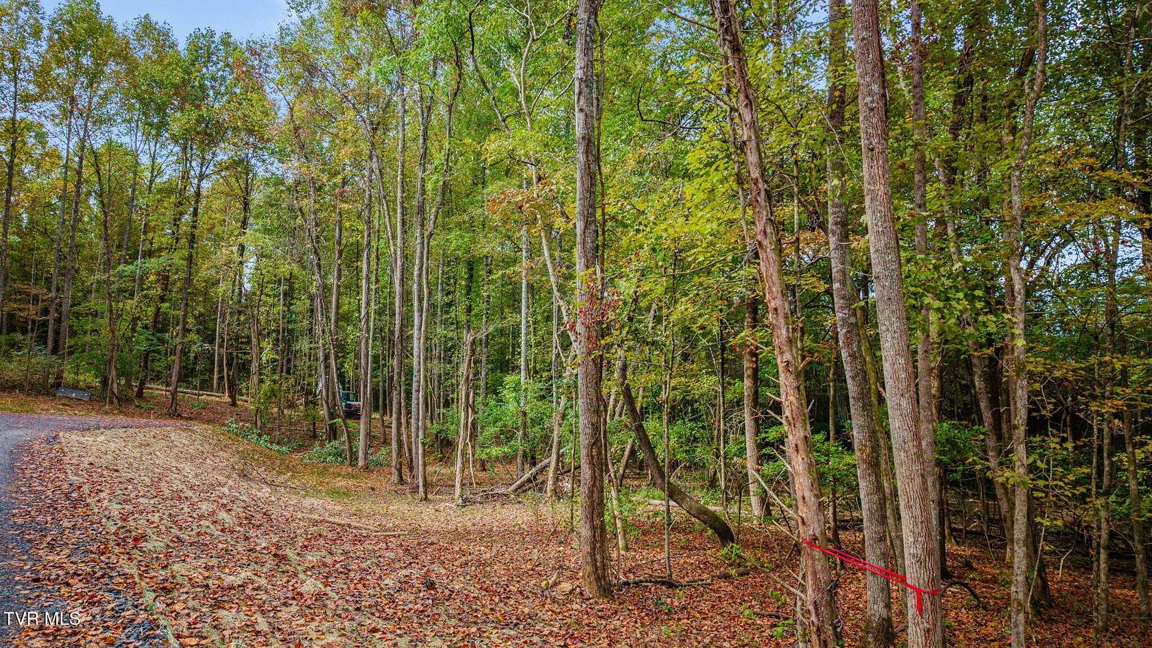 5.22 Acres of Residential Land for Sale in Elizabethton, Tennessee