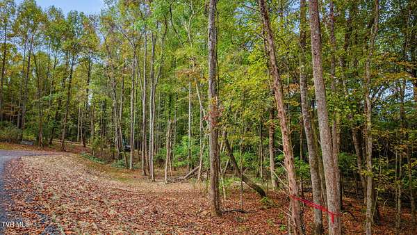 5.22 Acres of Residential Land for Sale in Elizabethton, Tennessee