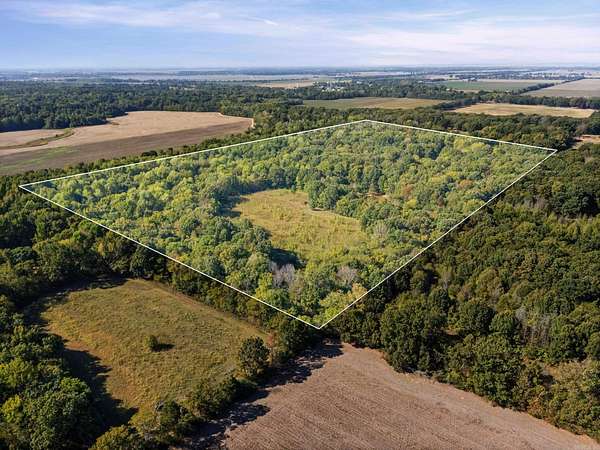 69.3 Acres of Recreational & Residential Land for Sale in Cherry Valley, Arkansas