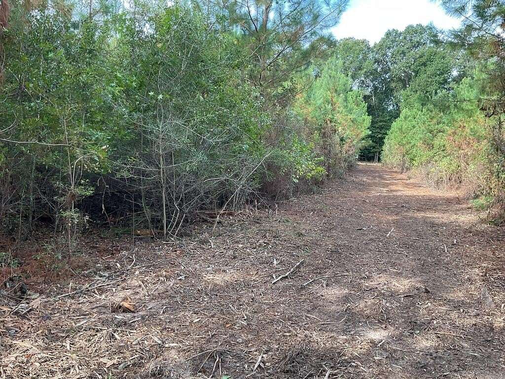 30 Acres of Recreational Land for Sale in Luverne, Alabama