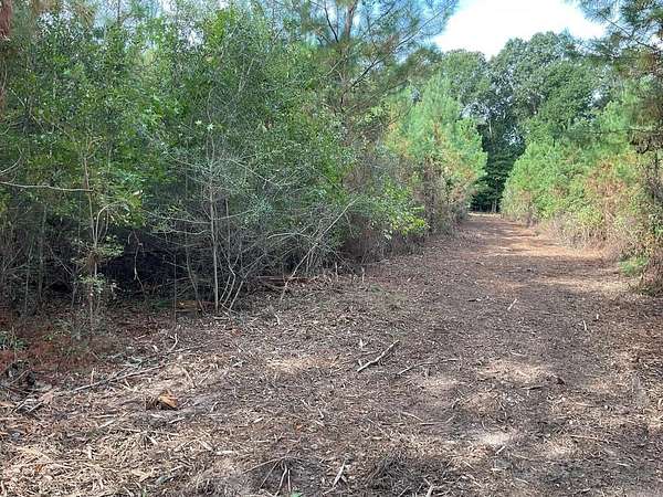 30 Acres of Recreational Land for Sale in Luverne, Alabama
