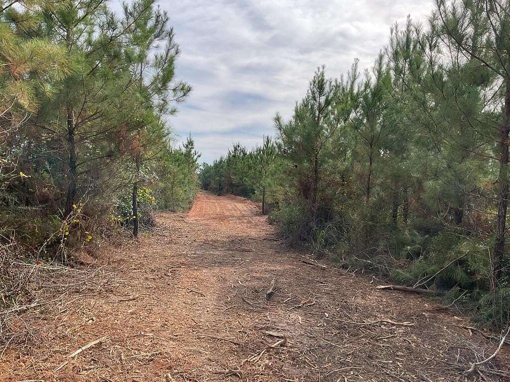 30 Acres of Recreational Land for Sale in Luverne, Alabama