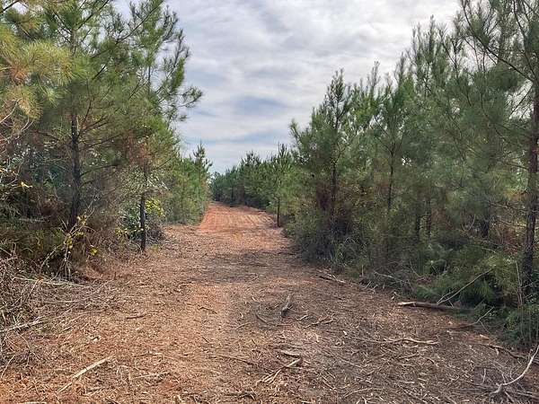30 Acres of Recreational Land for Sale in Luverne, Alabama