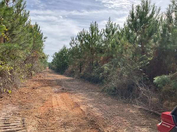 30 Acres of Recreational & Residential Land for Sale in Luverne, Alabama