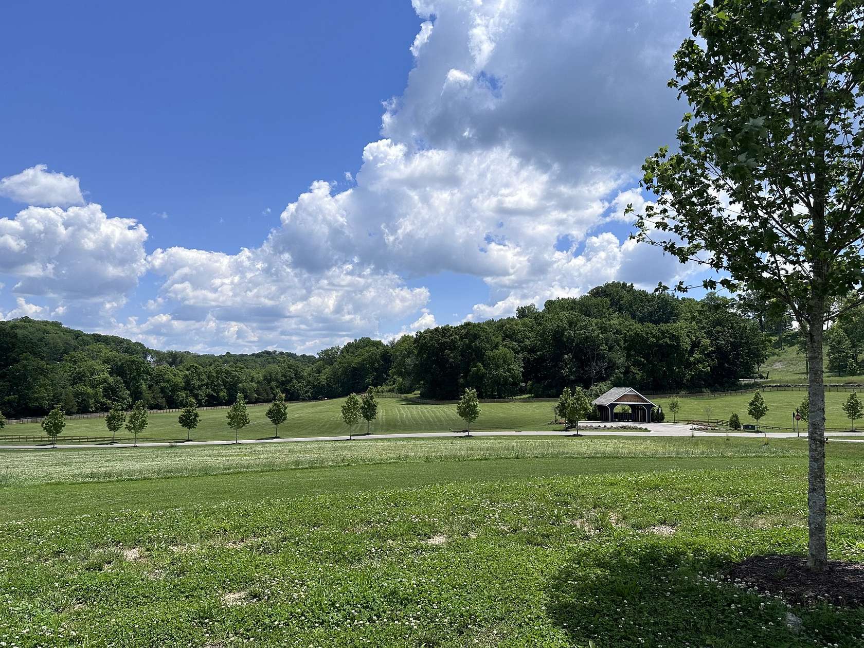 0.36 Acres of Residential Land for Sale in College Grove, Tennessee