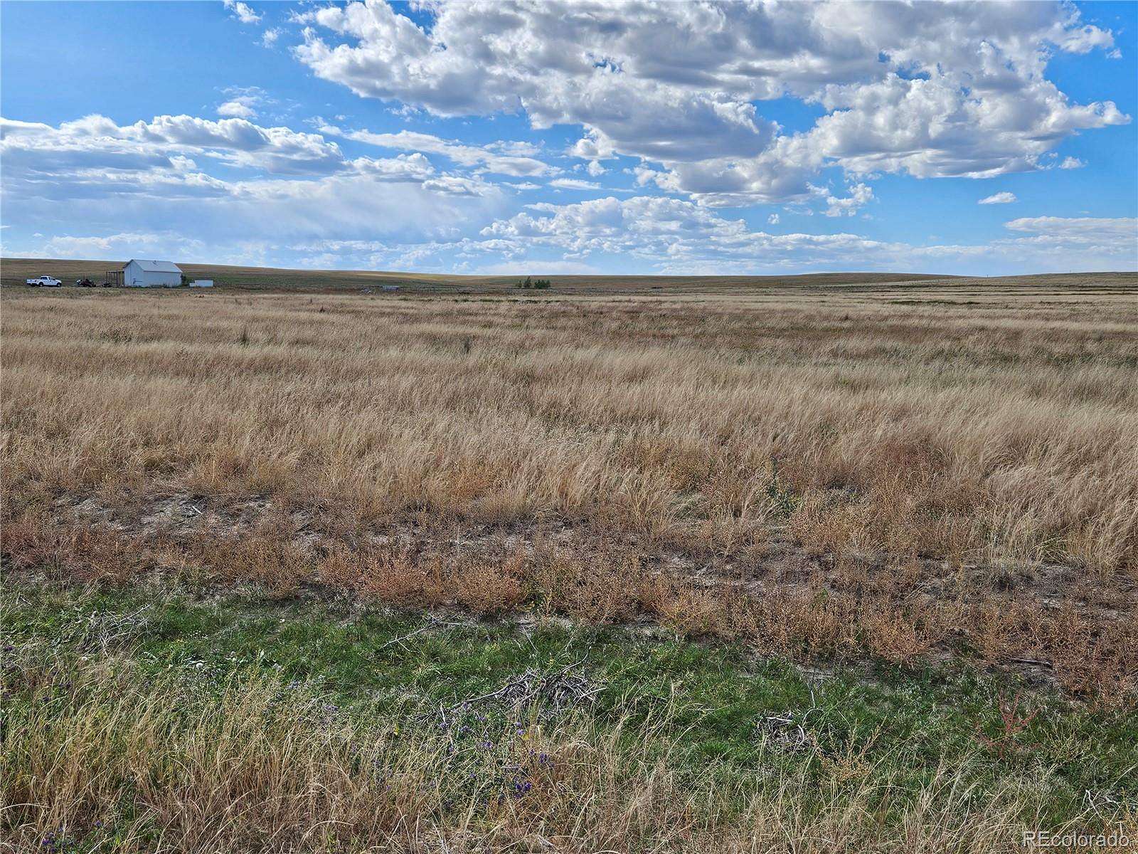 35.1 Acres of Recreational & Residential Land for Sale in Agate, Colorado
