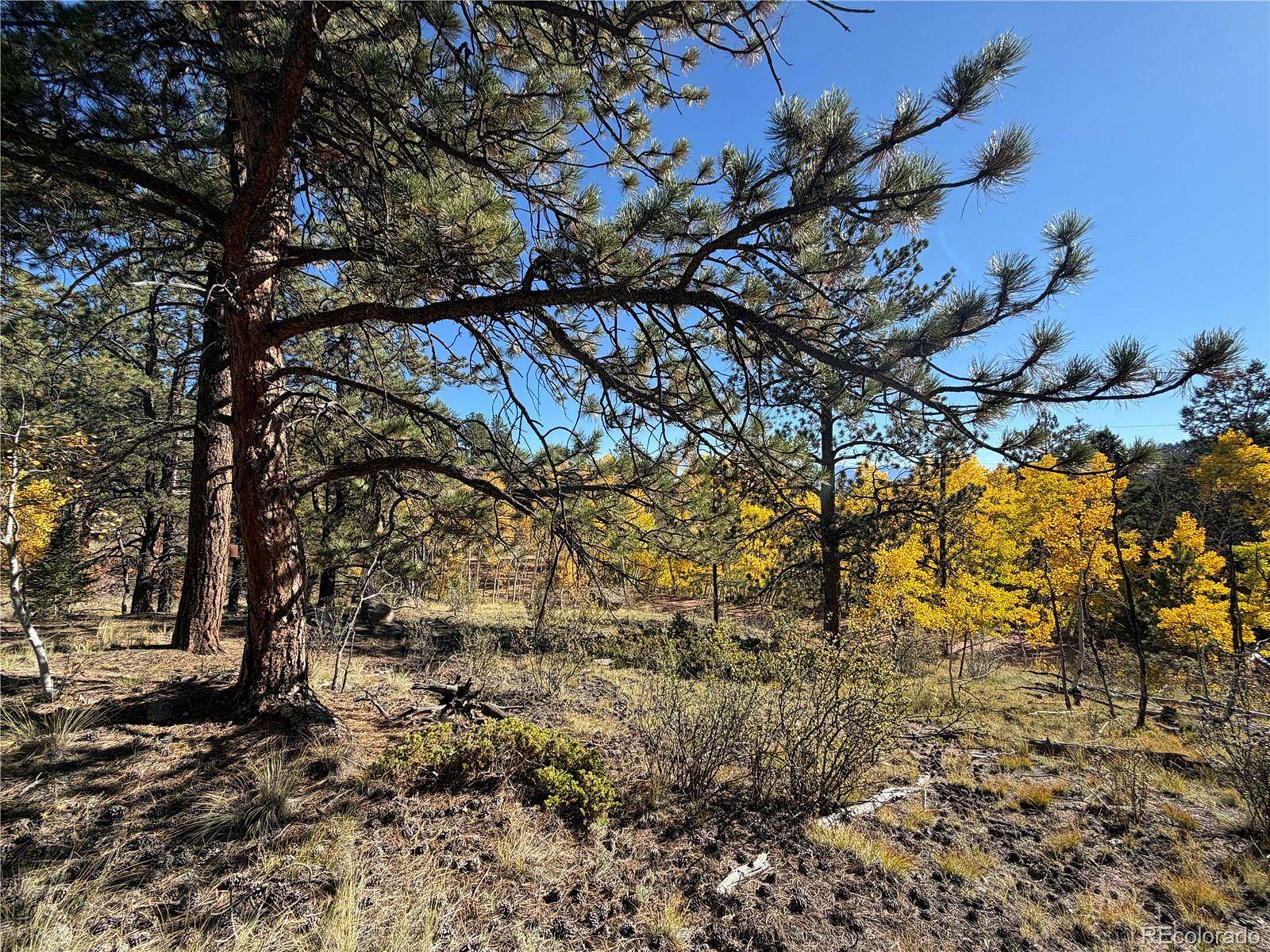 5 Acres of Residential Land for Sale in Guffey, Colorado
