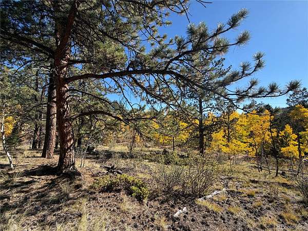 5 Acres of Residential Land for Sale in Guffey, Colorado