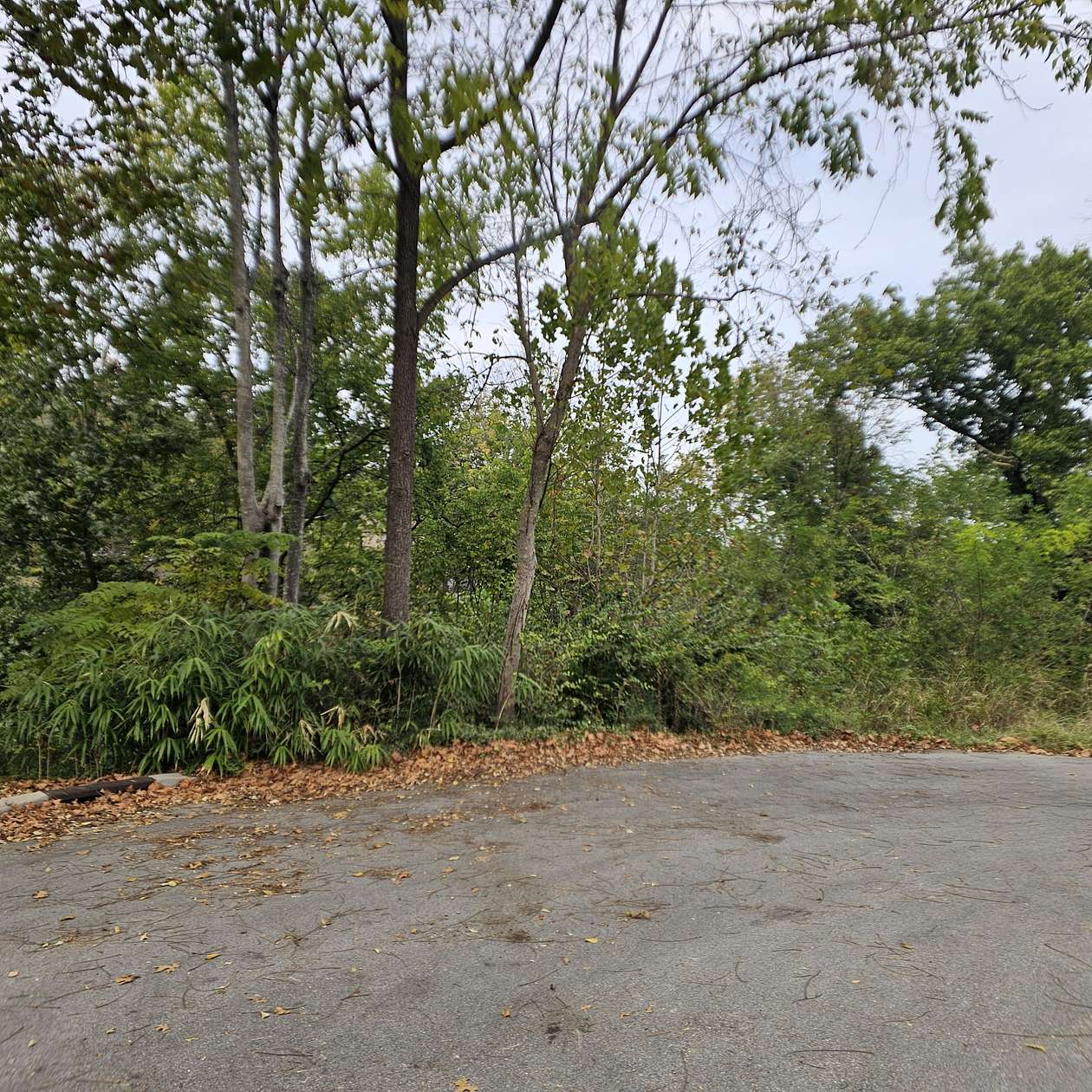 0.55 Acres of Residential Land for Sale in Smyrna, Tennessee