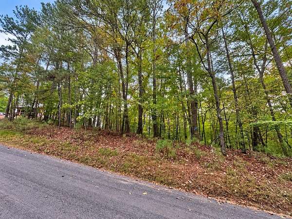 0.64 Acres of Residential Land for Sale in Ellijay, Georgia