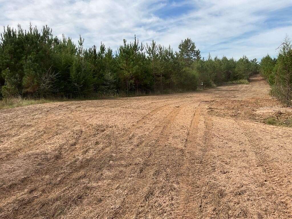 50 Acres of Recreational & Residential Land for Sale in Luverne, Alabama