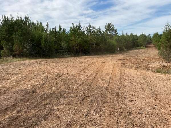 50 Acres of Recreational & Residential Land for Sale in Luverne, Alabama