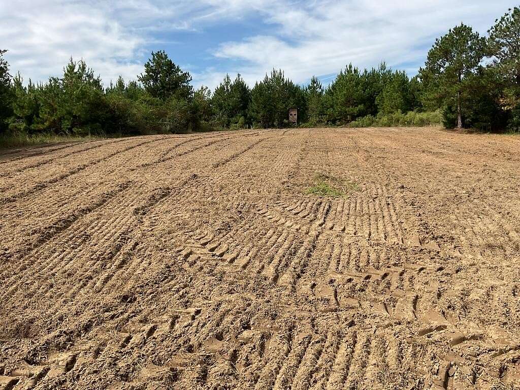 32 Acres of Recreational & Residential Land for Sale in Luverne, Alabama
