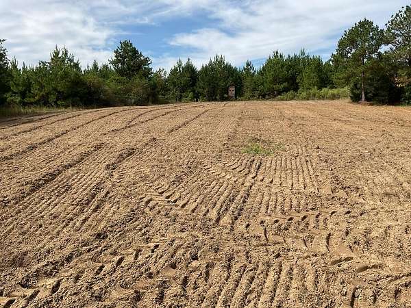 32 Acres of Recreational & Residential Land for Sale in Luverne, Alabama