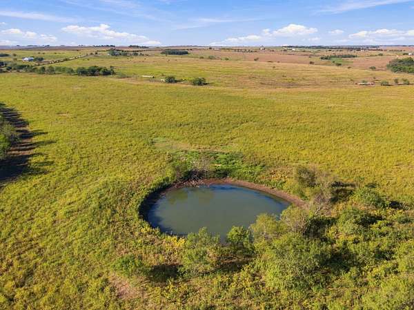 65 Acres of Agricultural Land for Sale in Penelope, Texas
