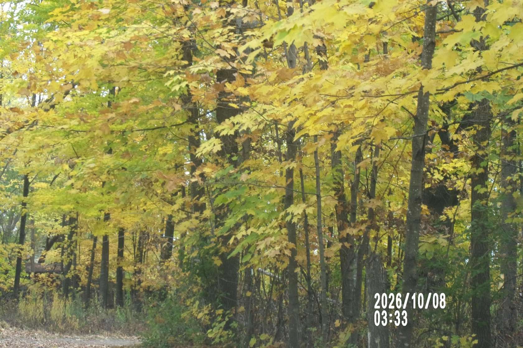 0.9 Acres of Land for Sale in Ogilvie, Minnesota