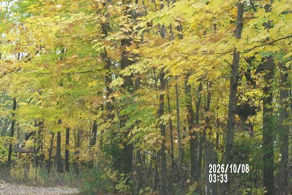0.9 Acres of Land for Sale in Ogilvie, Minnesota