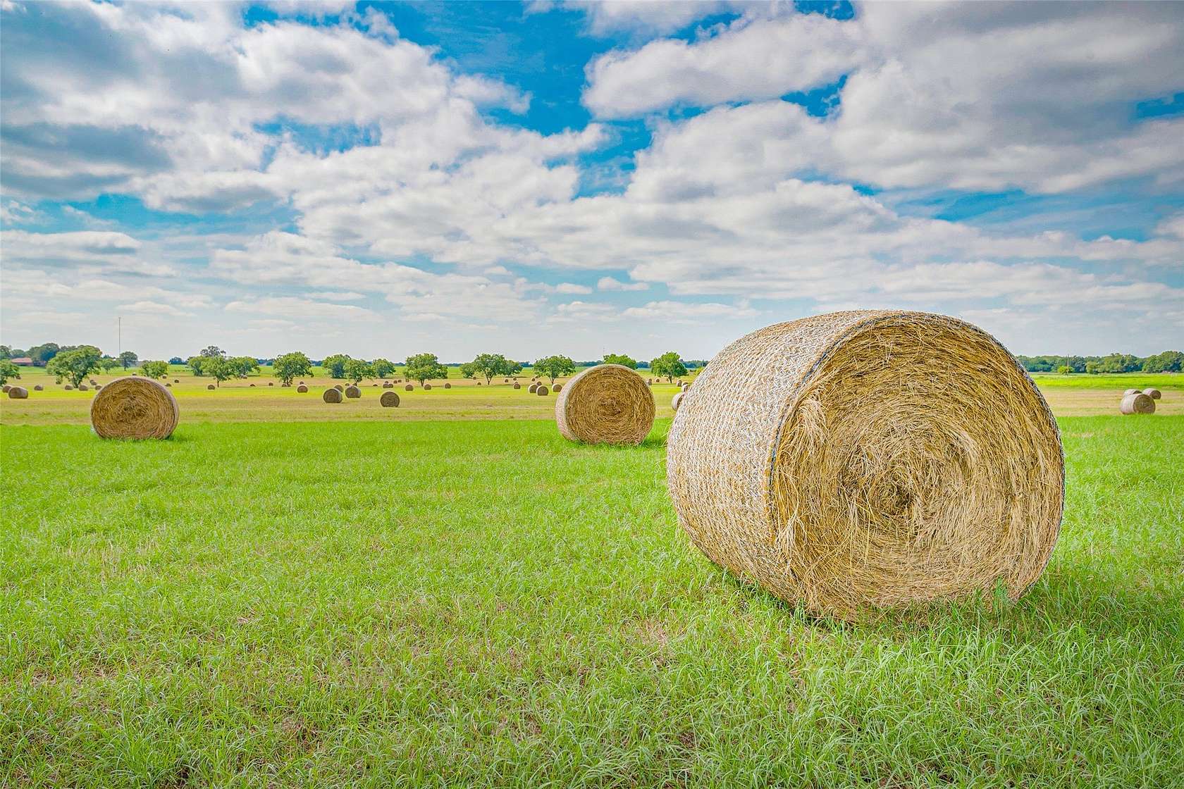 19 Acres of Land for Sale in Bowie, Texas