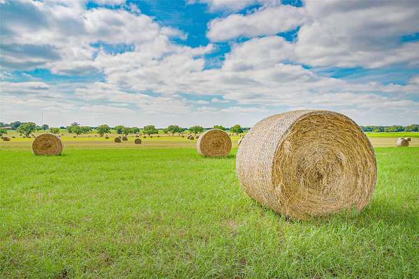 19 Acres of Land for Sale in Bowie, Texas