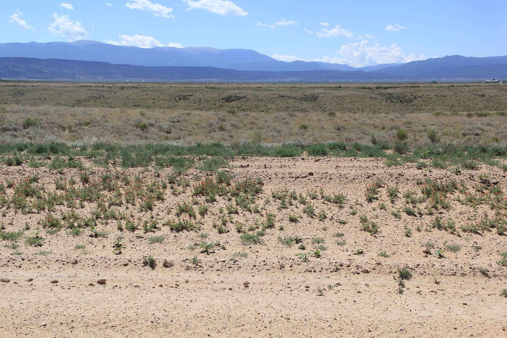 10 Acres of Recreational & Residential Land for Sale in San Luis, Colorado