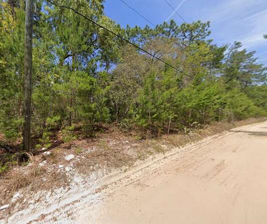 1.1 Acres of Residential Land for Sale in Pomona Park, Florida