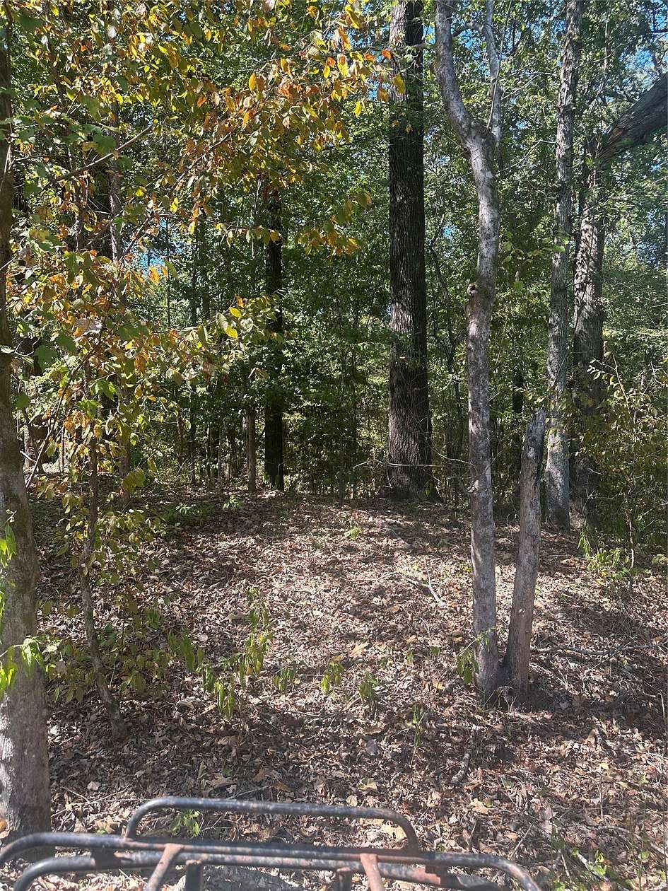118 Acres of Agricultural Land for Sale in Sarepta, Louisiana