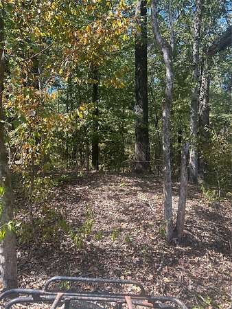 118 Acres of Agricultural Land for Sale in Sarepta, Louisiana