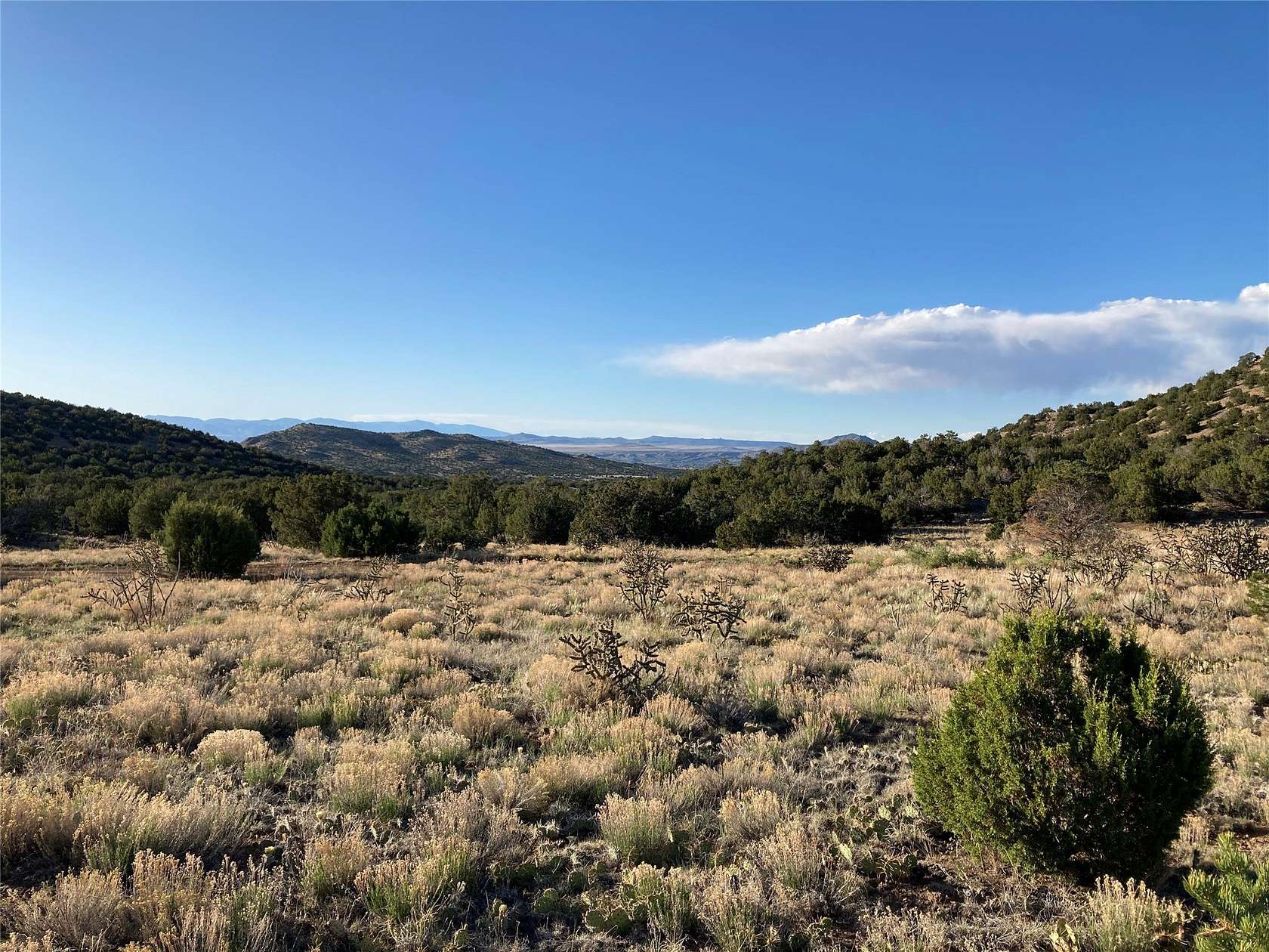 40 Acres of Land for Sale in Cerrillos, New Mexico